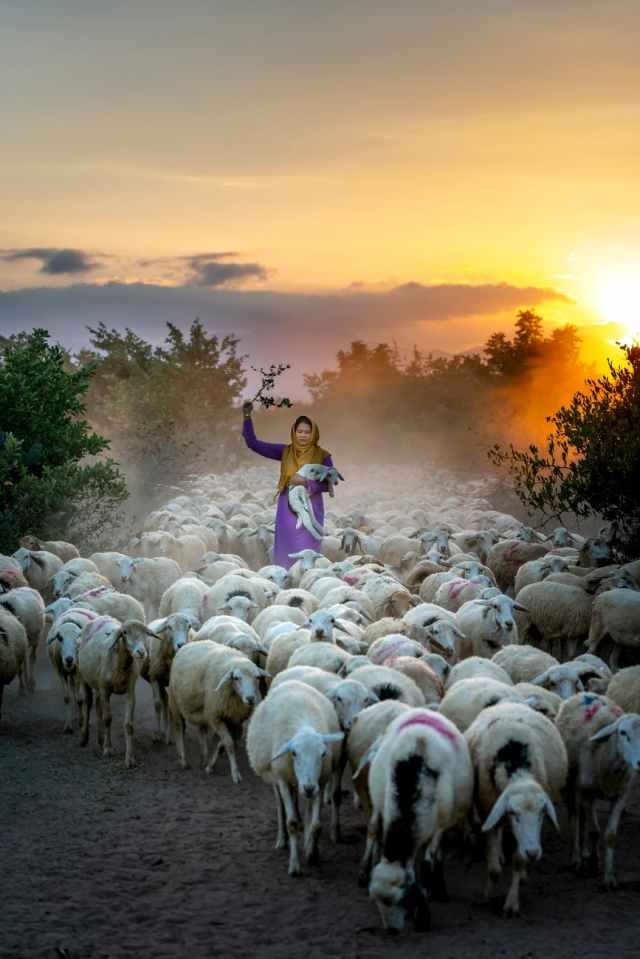 photo of woman holding lamb